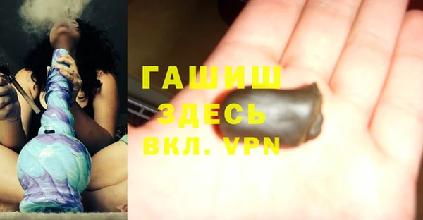 гашик Алексин