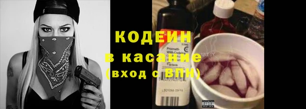 гашик Алексин