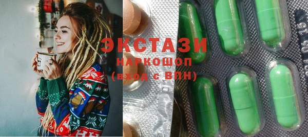гашик Алексин
