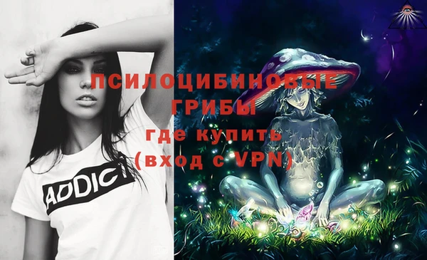 спиды Алзамай
