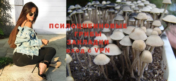 ПСИЛОЦИБИНОВЫЕ ГРИБЫ Алексеевка