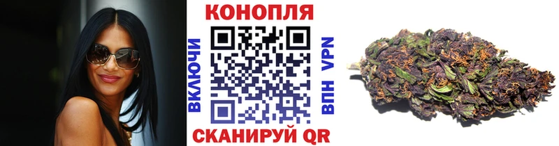 blacksprut маркетплейс  купить   Снежногорск  Канабис SATIVA & INDICA 